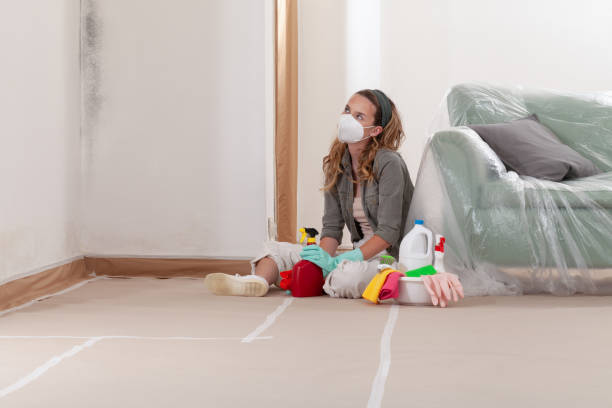 Reliable Mold Remediation contractor in Mineola, NY by WQB Mold Removal